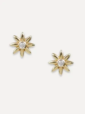 14K Diamond Flower Burst Studs