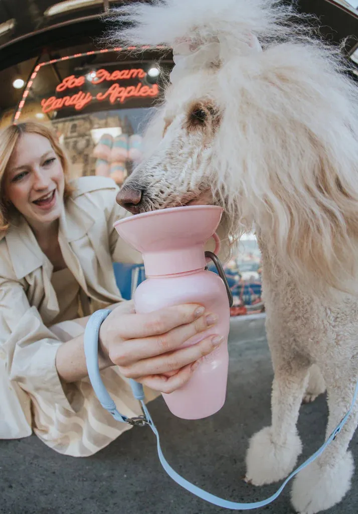 Classic Dog Travel Bottle 22oz - Cotton Candy