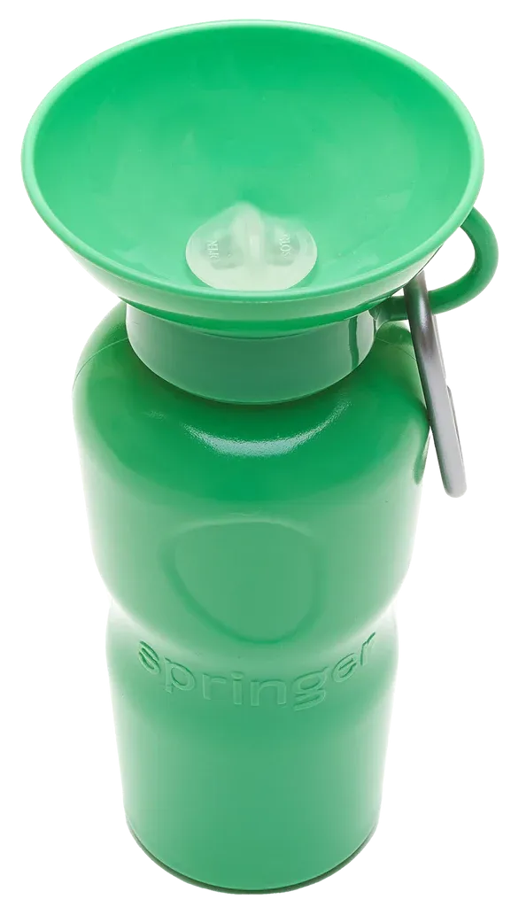 Classic Dog Travel Bottle 22oz - Springer Green