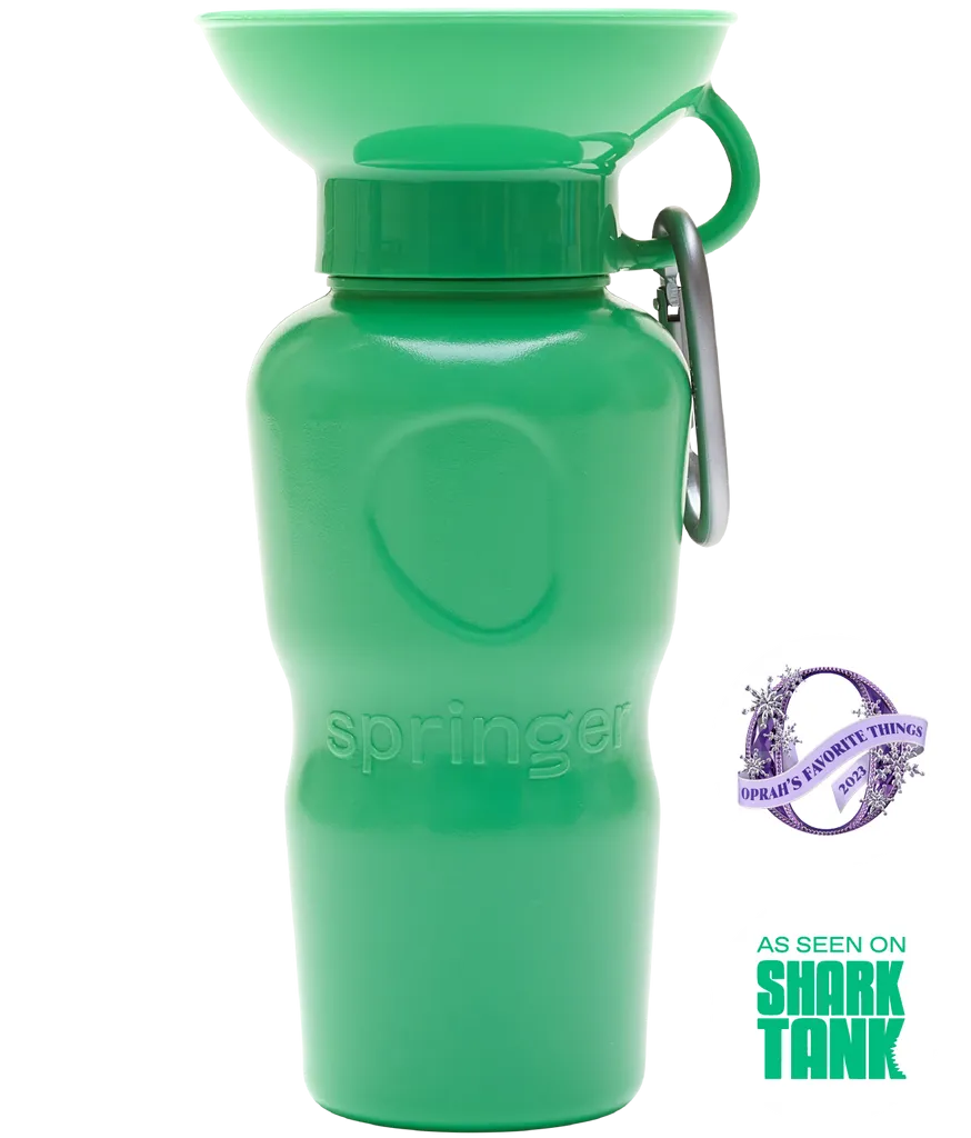 Classic Dog Travel Bottle 22oz - Springer Green