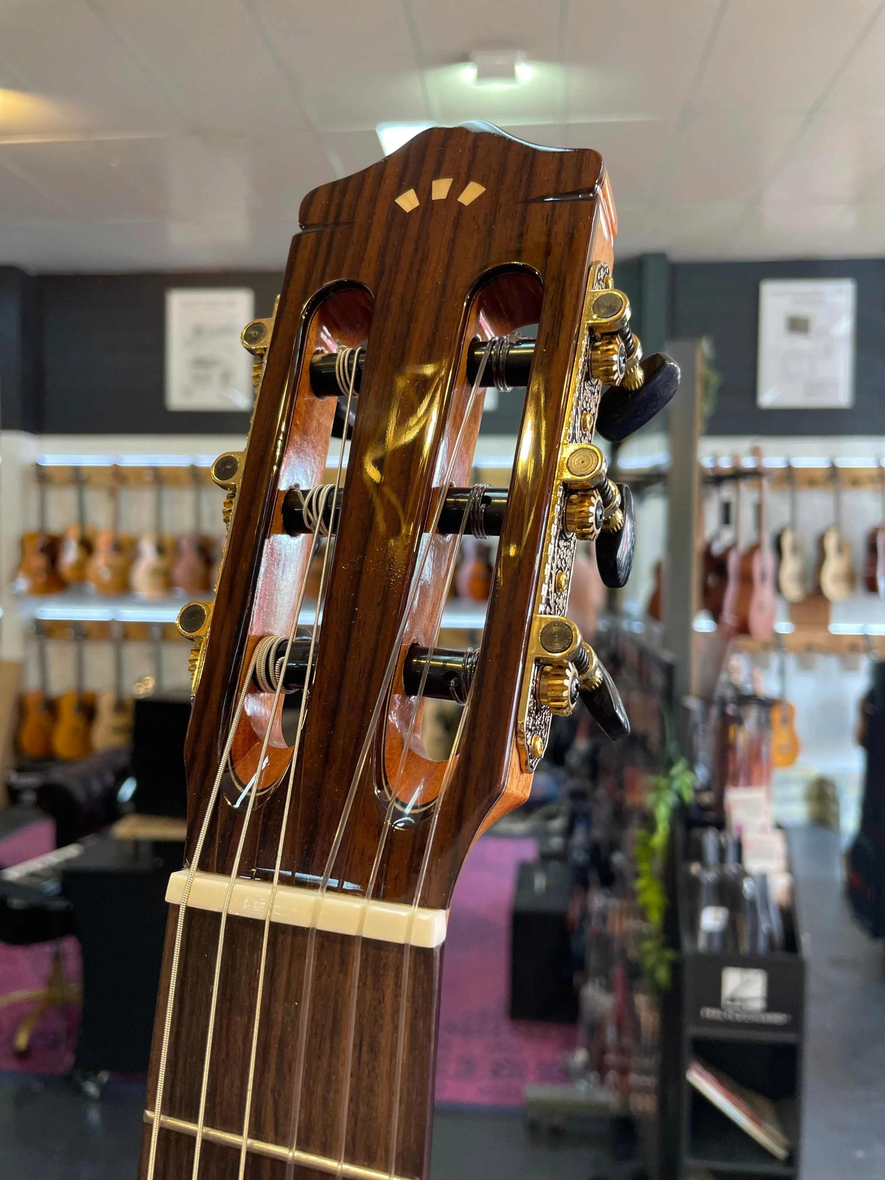 Córdoba | C7CD | Cedar Spruce Top | GIg Bag Included