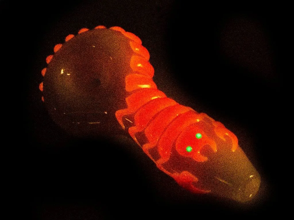 Glow in the Dark Scorpion Pipe