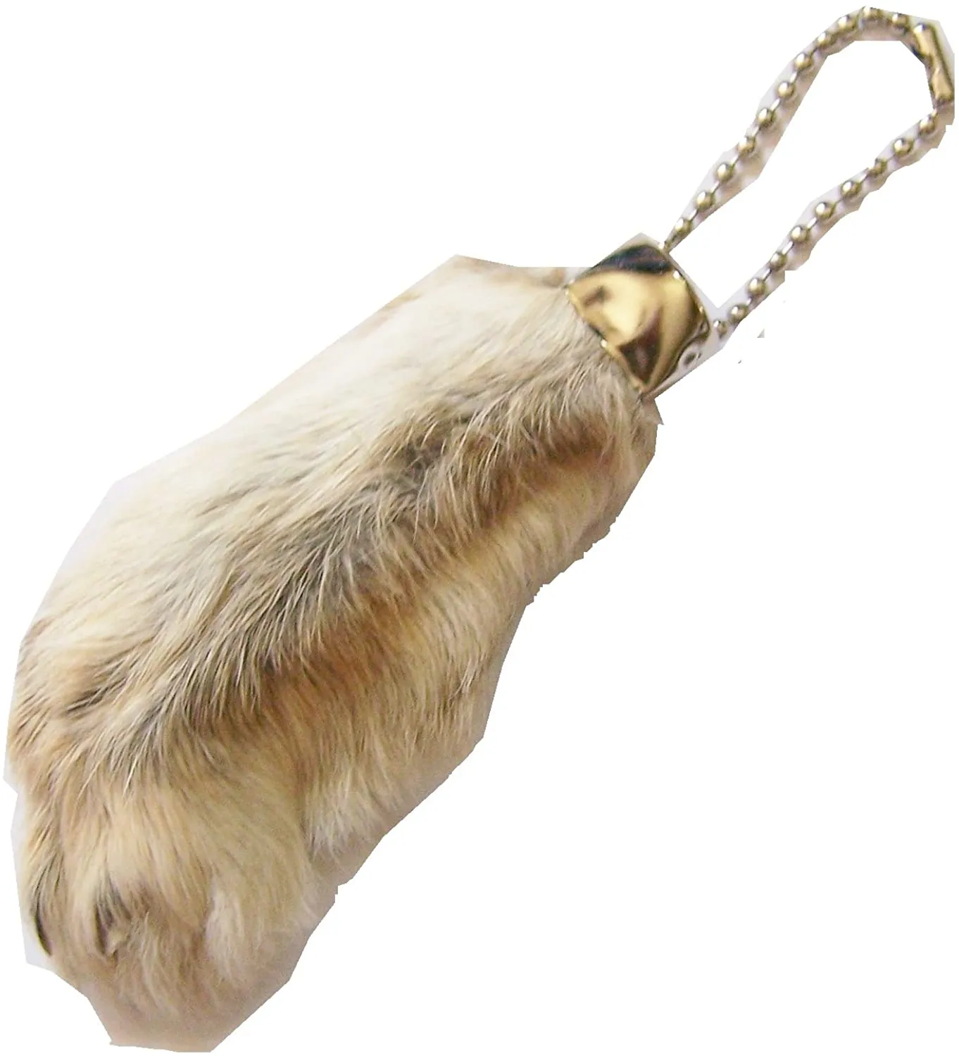 Lucky Rabbits Foot!