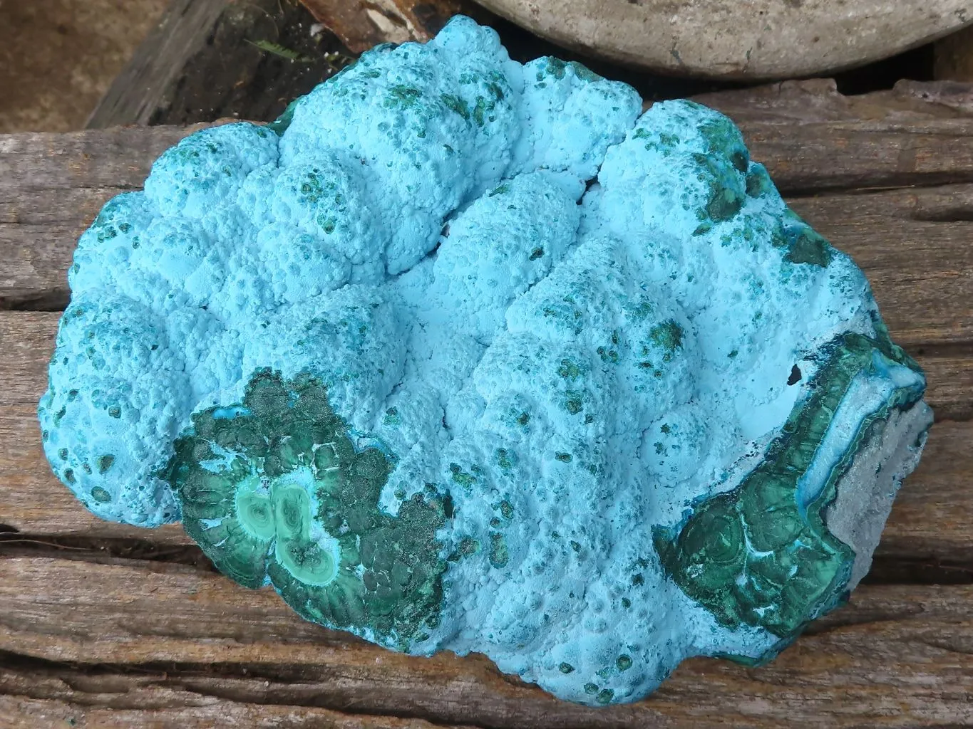 Natural Beautiful Large Malacholla (Malachite & Chrysocolla) Specimen x 1 From Kulukuluku, Congo