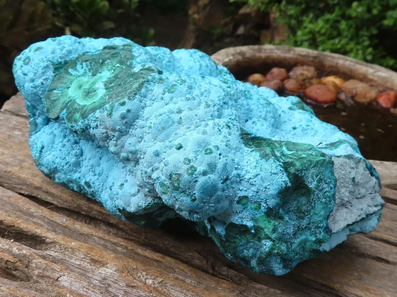 Natural Beautiful Large Malacholla (Malachite & Chrysocolla) Specimen x 1 From Kulukuluku, Congo