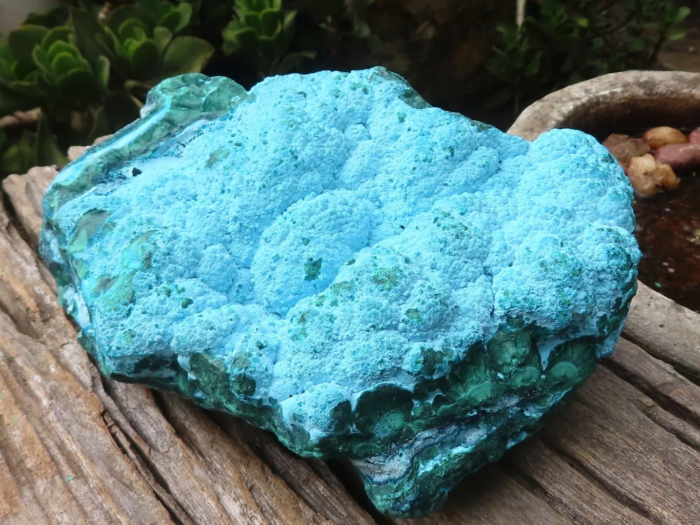 Natural Beautiful Large Malacholla (Malachite & Chrysocolla) Specimen x 1 From Kulukuluku, Congo