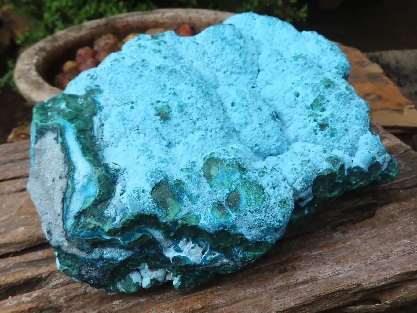 Natural Beautiful Large Malacholla (Malachite & Chrysocolla) Specimen x 1 From Kulukuluku, Congo