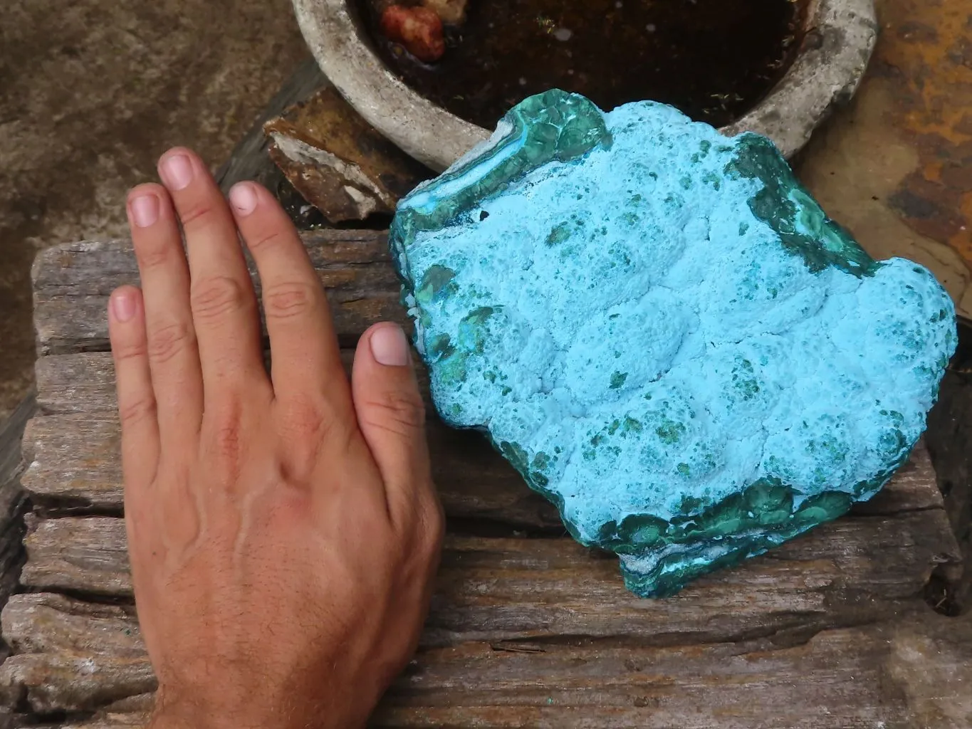 Natural Beautiful Large Malacholla (Malachite & Chrysocolla) Specimen x 1 From Kulukuluku, Congo