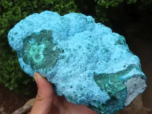 Natural Beautiful Large Malacholla (Malachite & Chrysocolla) Specimen x 1 From Kulukuluku, Congo