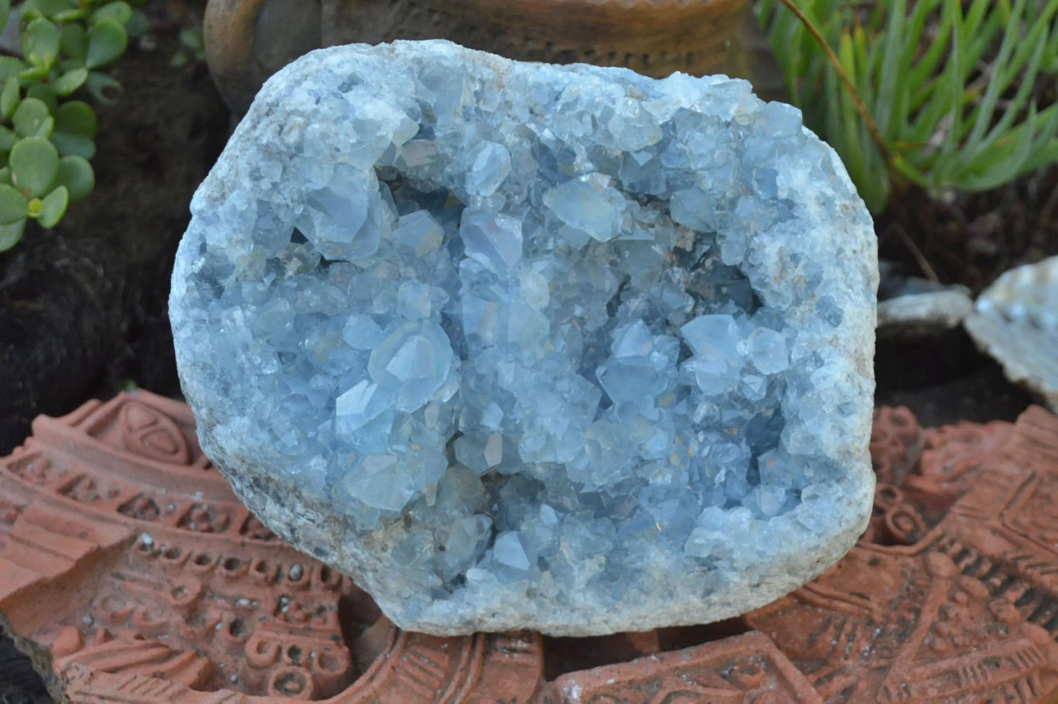 Natural Blue Celestite Cluster With Large Cubic Crystals x 1 From Sakoany, Madagascar