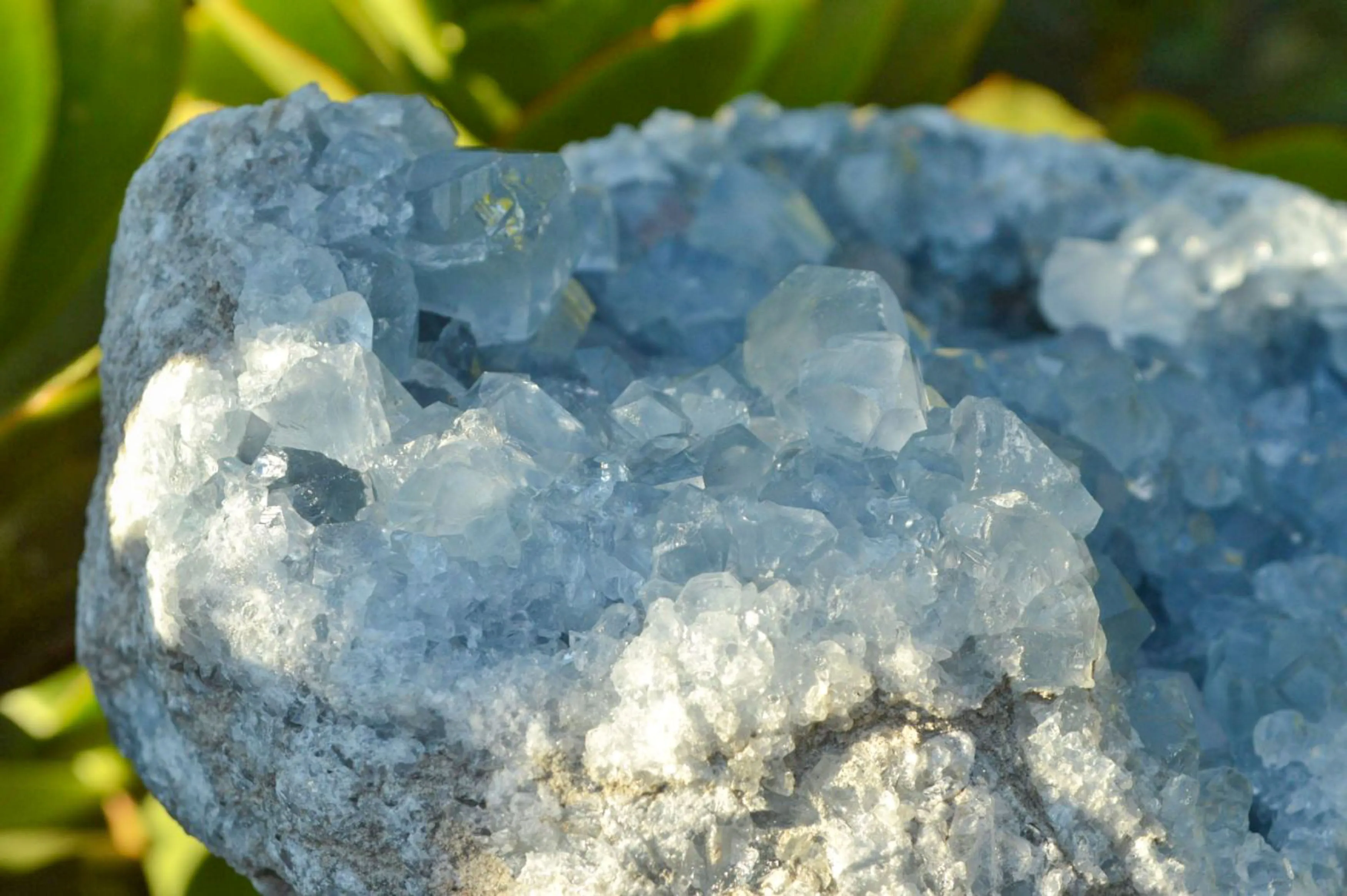 Natural Blue Celestite Cluster With Large Cubic Crystals x 1 From Sakoany, Madagascar