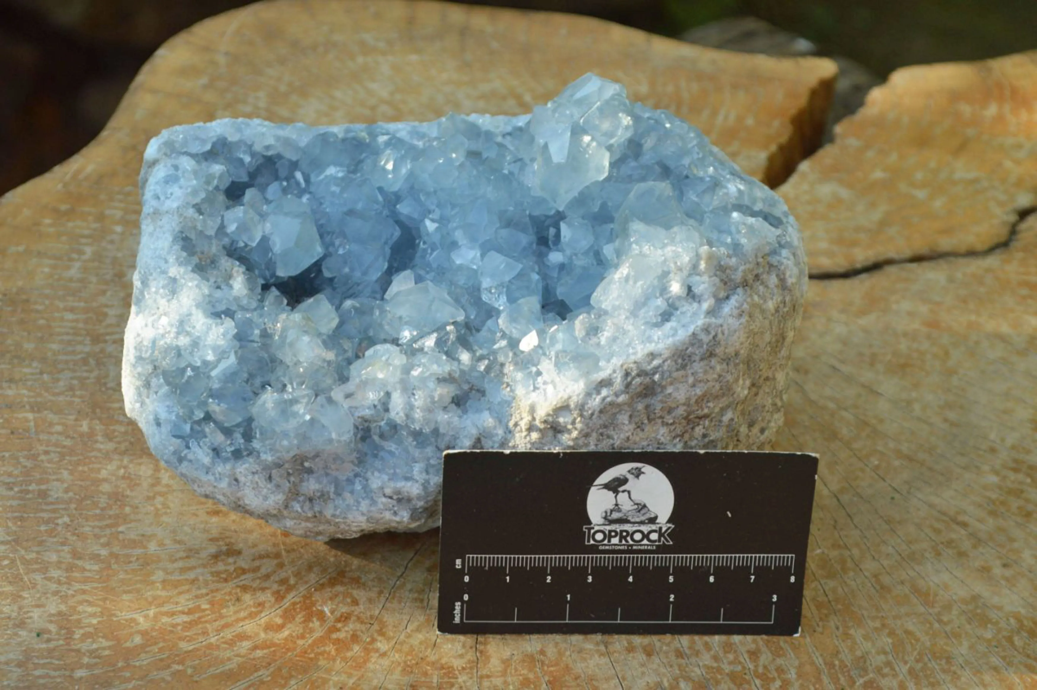 Natural Blue Celestite Cluster With Large Cubic Crystals x 1 From Sakoany, Madagascar