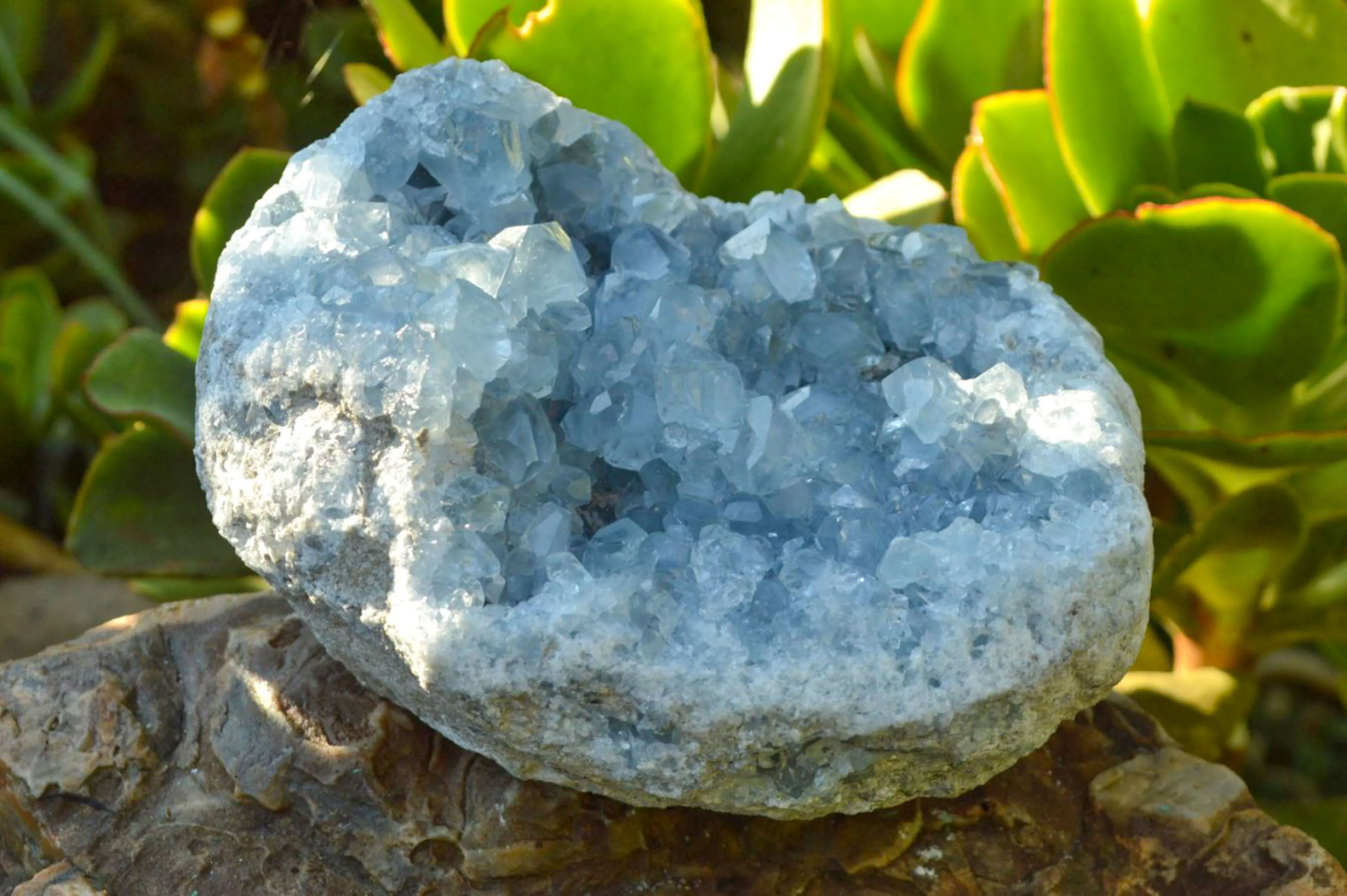 Natural Blue Celestite Cluster With Large Cubic Crystals x 1 From Sakoany, Madagascar