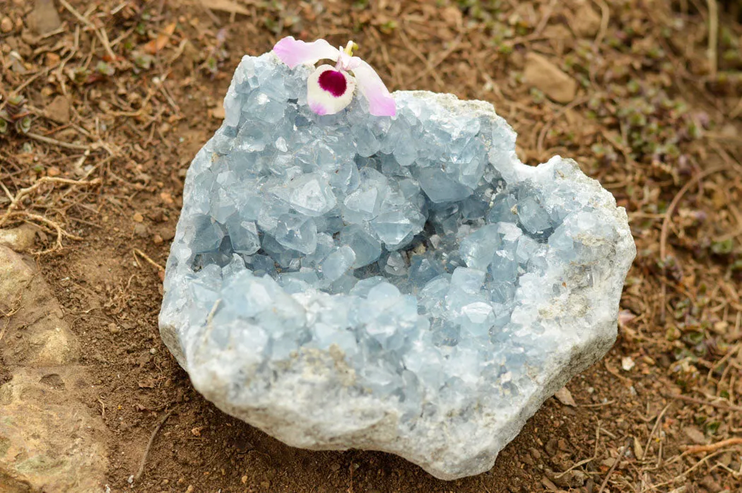 Natural Blue Celestite Geode Specimen  x 1 From Sakoany, Madagascar