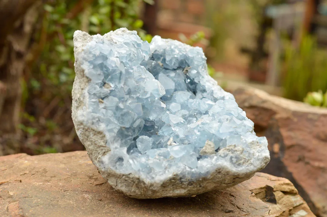 Natural Blue Celestite Geode Specimen  x 1 From Sakoany, Madagascar