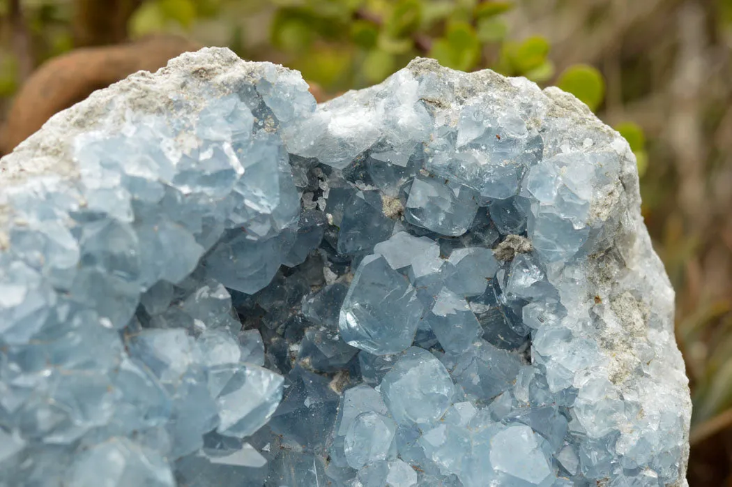 Natural Blue Celestite Geode Specimen  x 1 From Sakoany, Madagascar