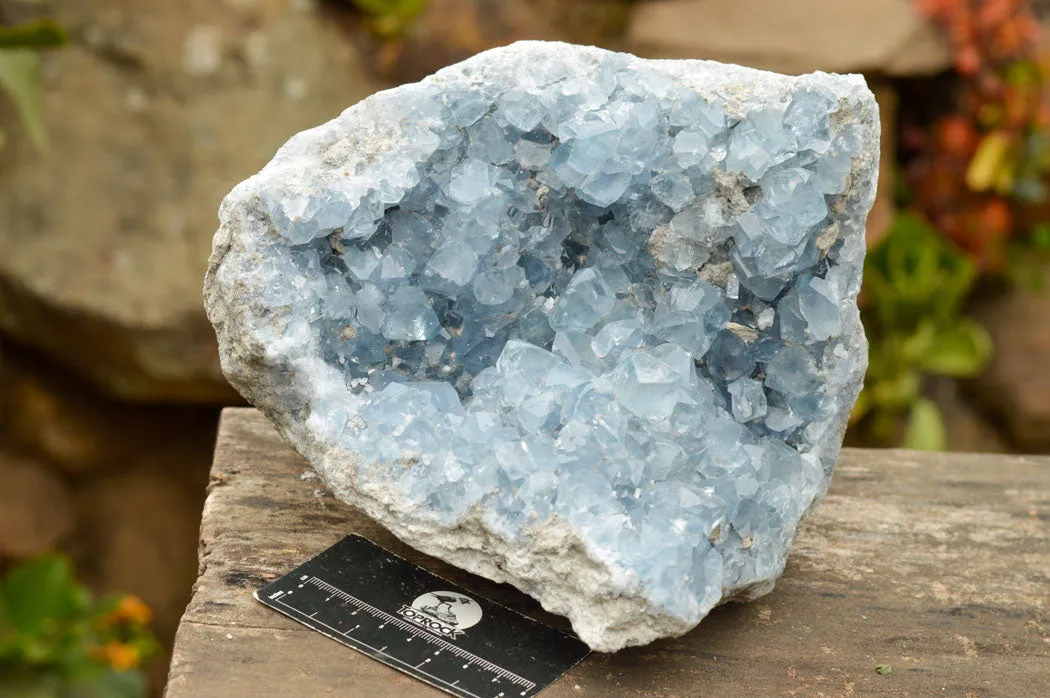 Natural Blue Celestite Geode Specimen  x 1 From Sakoany, Madagascar