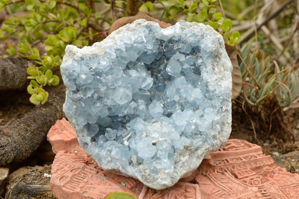 Natural Blue Celestite Geode Specimen  x 1 From Sakoany, Madagascar