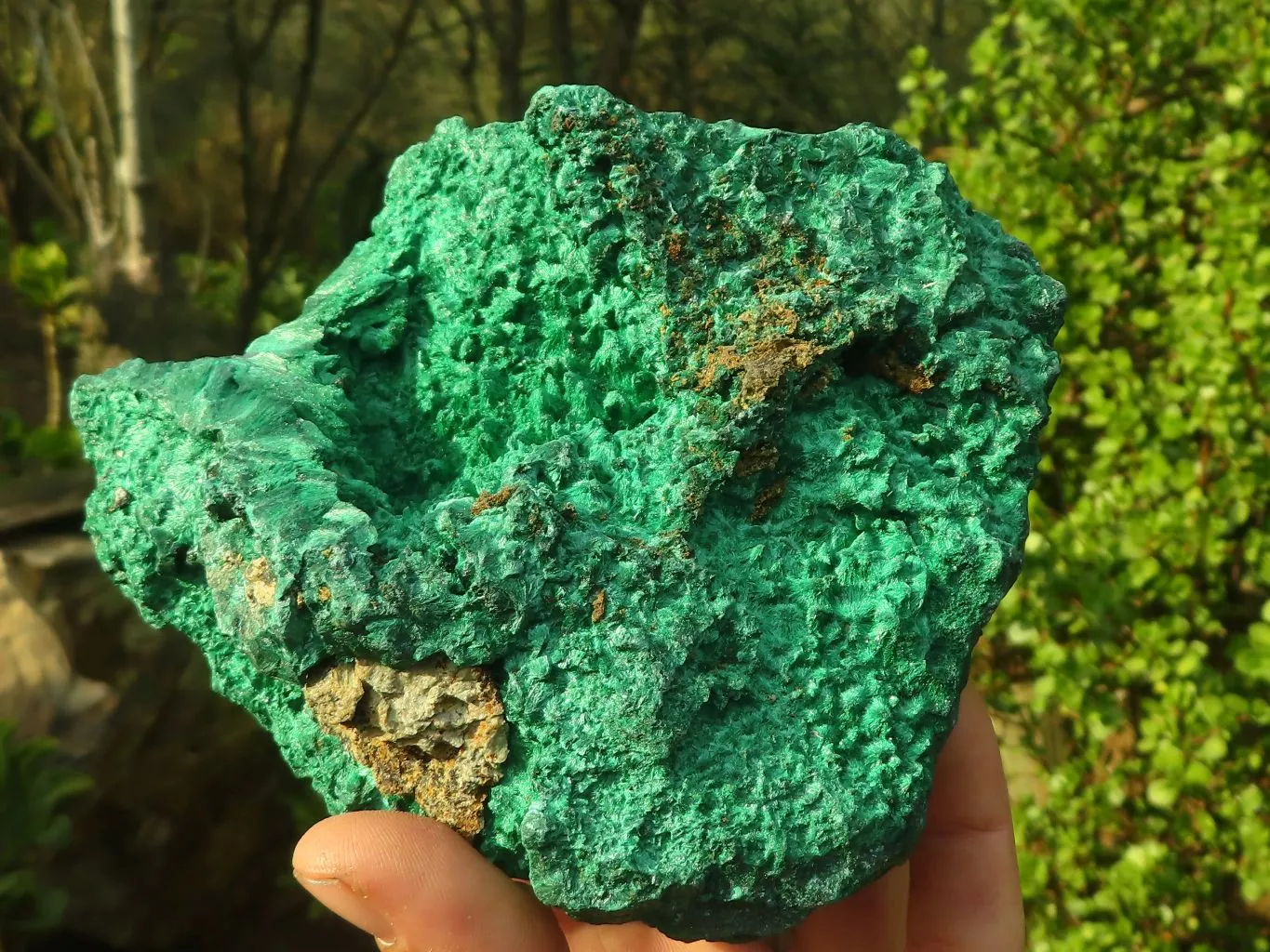 Natural Chatoyant Silky Malachite Specimen  x 1 From Kasompe, Congo