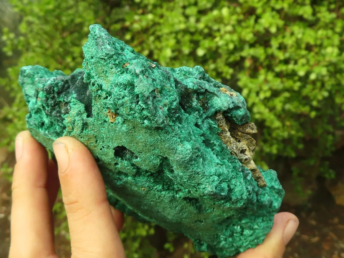 Natural Chatoyant Silky Malachite Specimen  x 1 From Kasompe, Congo