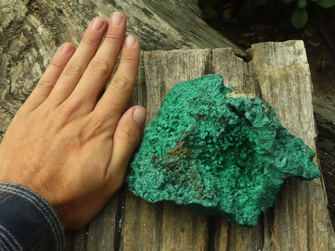 Natural Chatoyant Silky Malachite Specimen  x 1 From Kasompe, Congo