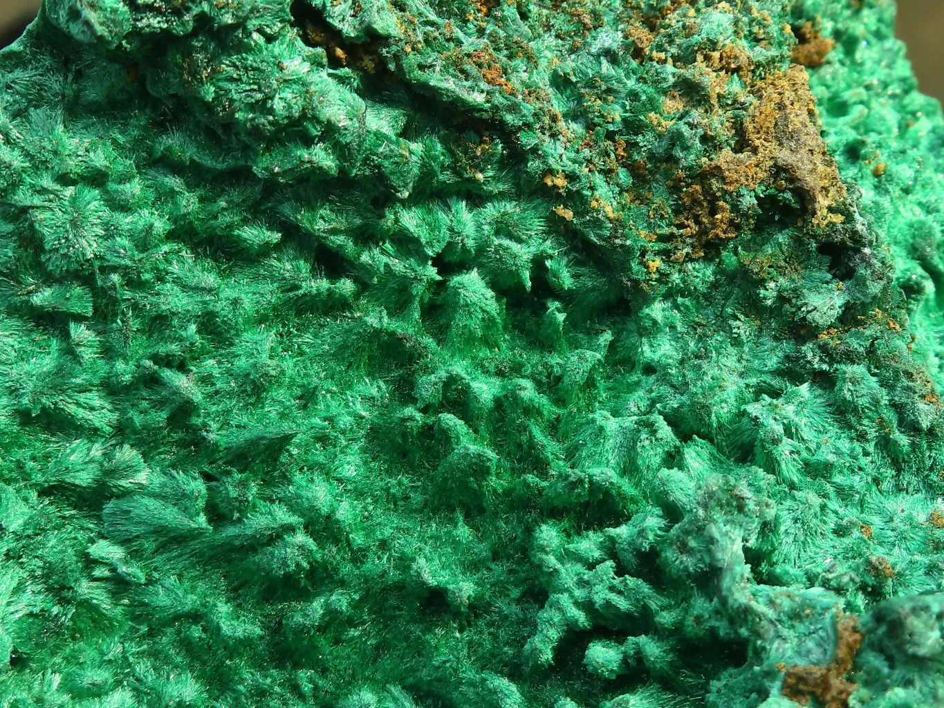 Natural Chatoyant Silky Malachite Specimen  x 1 From Kasompe, Congo