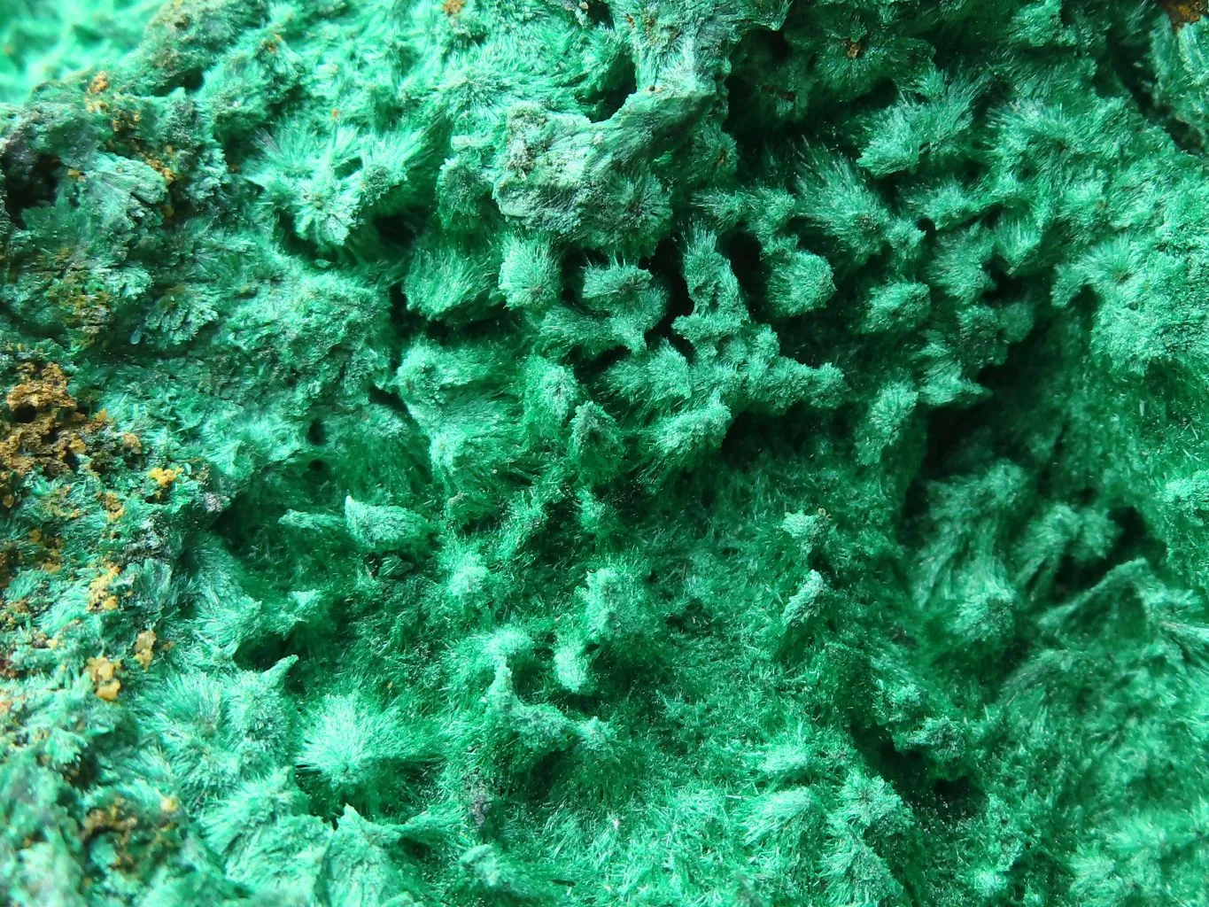 Natural Chatoyant Silky Malachite Specimen  x 1 From Kasompe, Congo