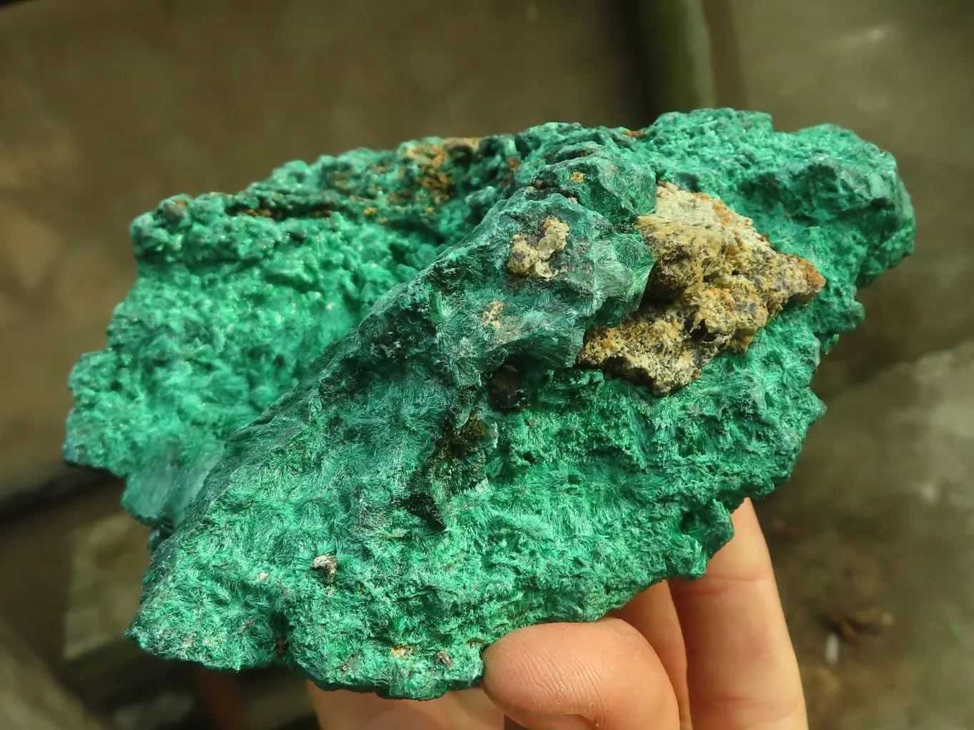 Natural Chatoyant Silky Malachite Specimen  x 1 From Kasompe, Congo