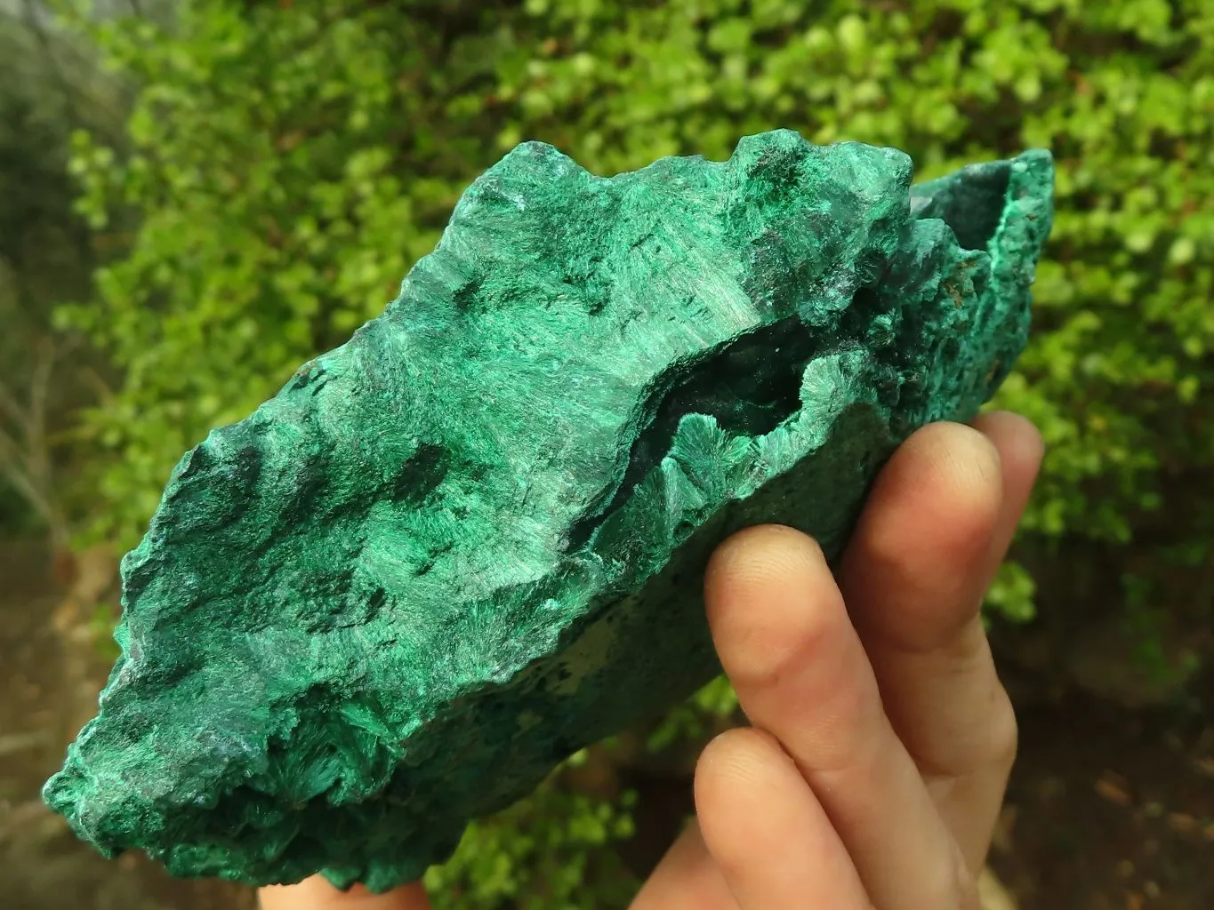 Natural Chatoyant Silky Malachite Specimen  x 1 From Kasompe, Congo