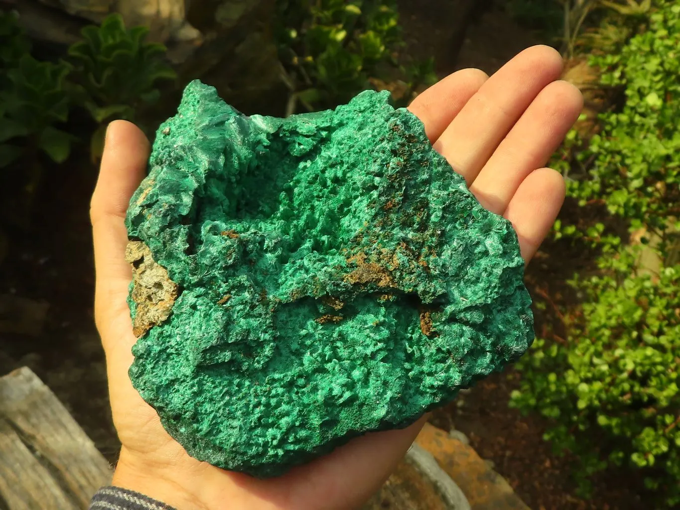 Natural Chatoyant Silky Malachite Specimen  x 1 From Kasompe, Congo