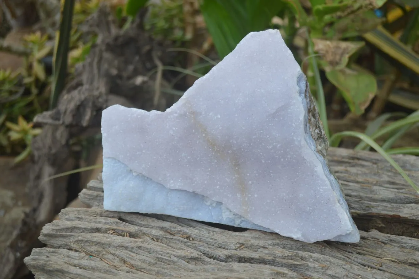 Natural Crystalline Blue Lace Agate Specimen x 1 From Namibia