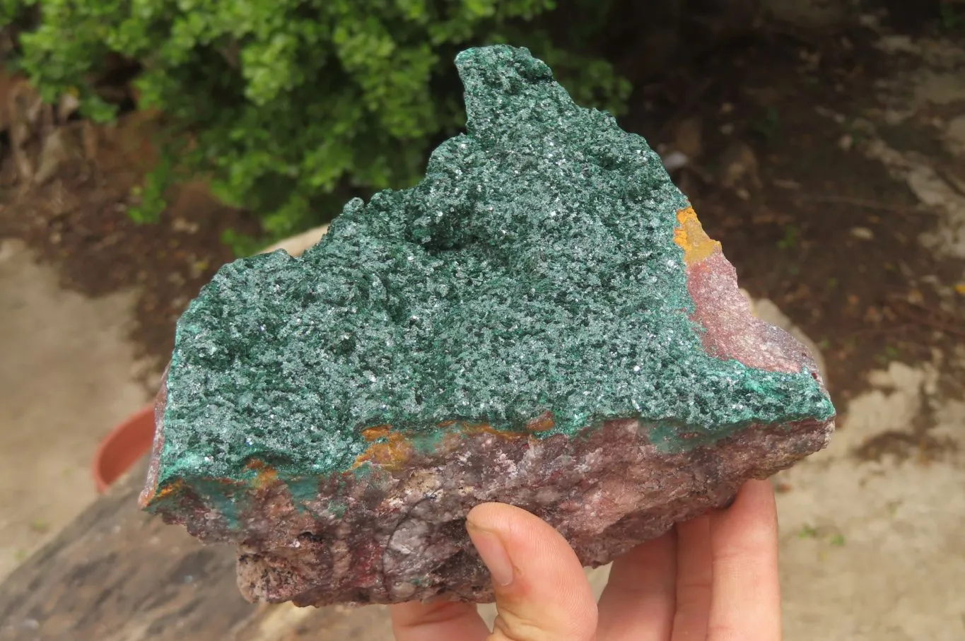 Natural Crystalline Malachite Specimen x 1 From Kasompe, Congo