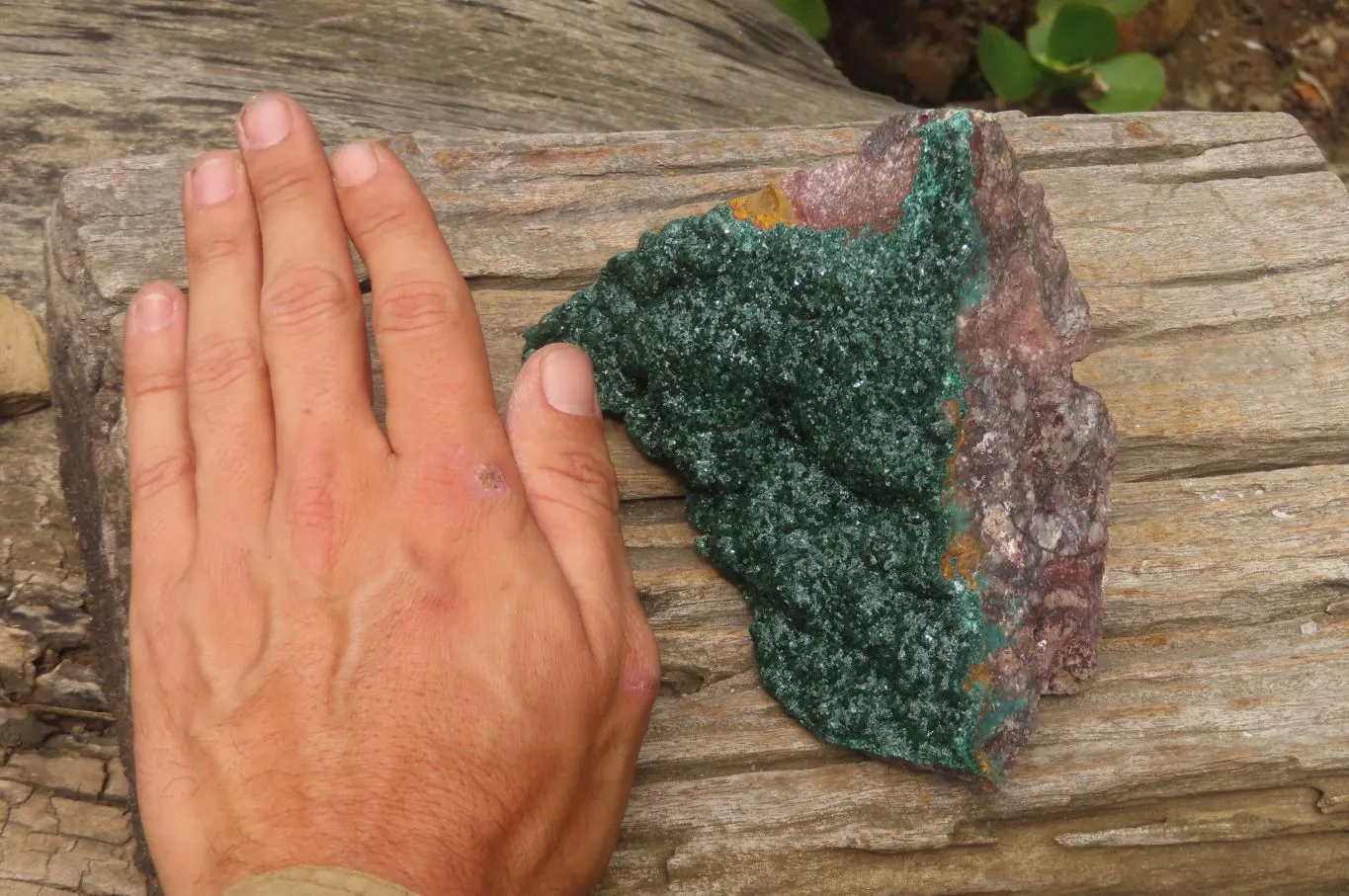 Natural Crystalline Malachite Specimen x 1 From Kasompe, Congo