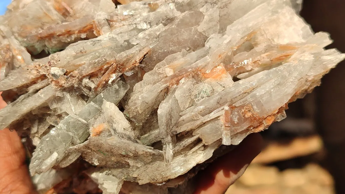 Natural Extra Large Bladed Barite Specimen  x 1 From Congo