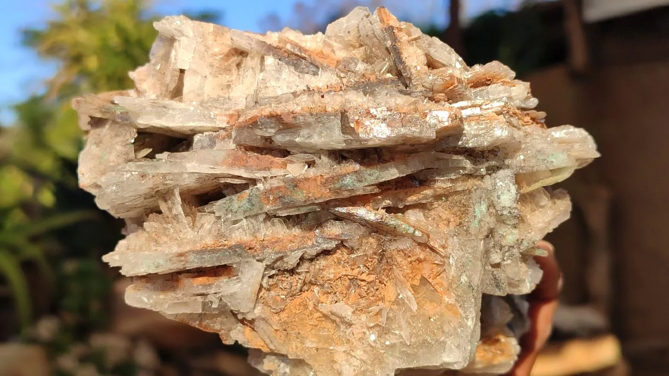 Natural Extra Large Bladed Barite Specimen  x 1 From Congo