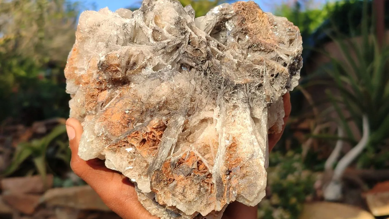 Natural Extra Large Bladed Barite Specimen  x 1 From Congo