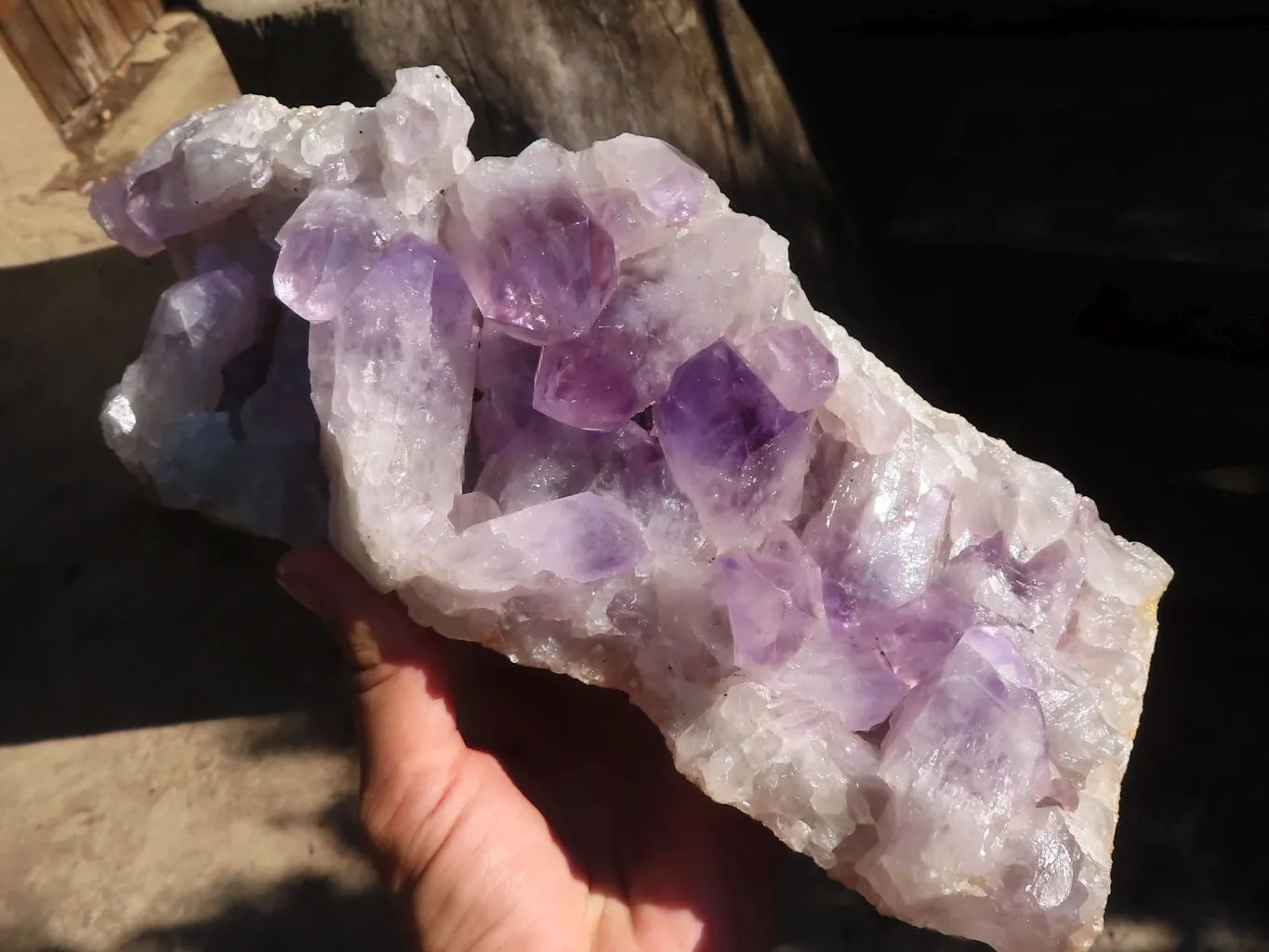 Natural Extra Large Jacaranda Specimen x 1 From Zambia