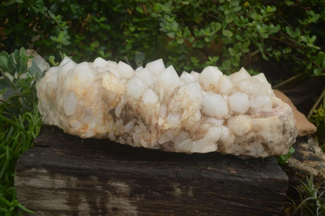 Natural Extra Large Pineapple Quartz Cluster  x 1 From Madagascar