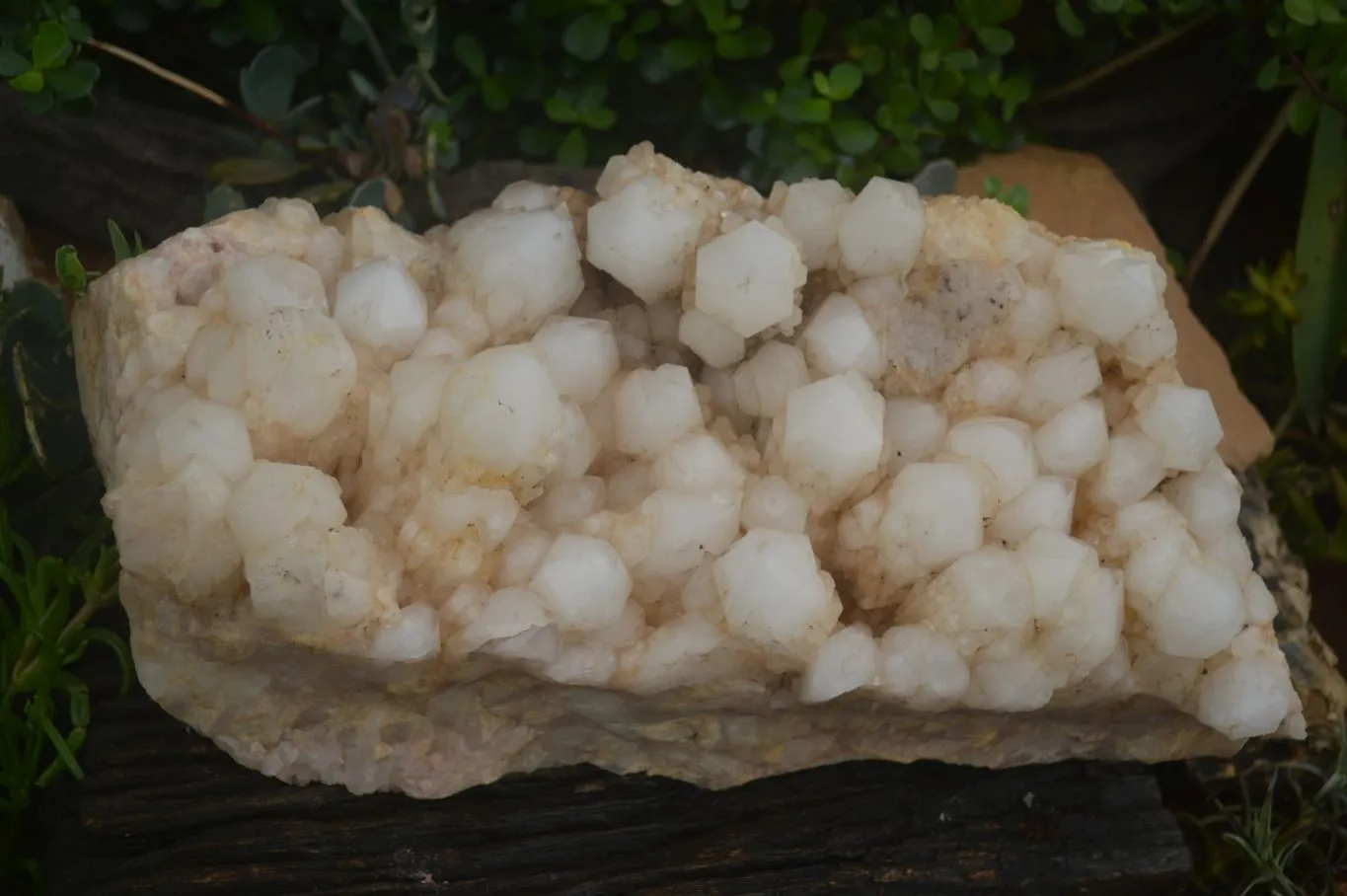 Natural Extra Large Pineapple Quartz Cluster  x 1 From Madagascar