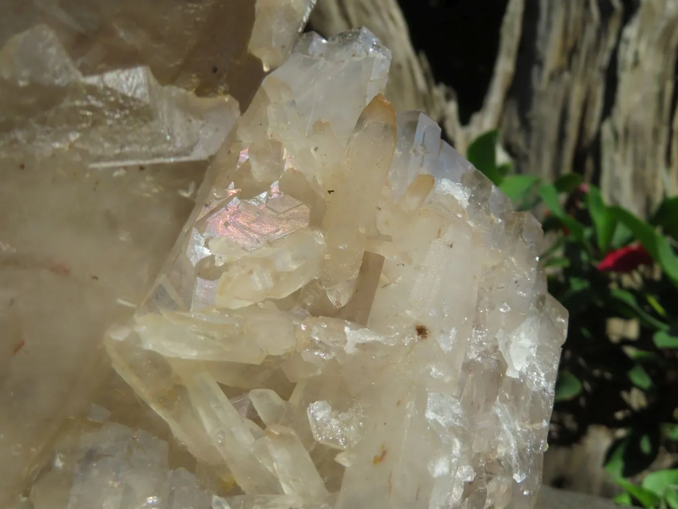 Natural Extra Large Quartz Cluster x 1 From Angola