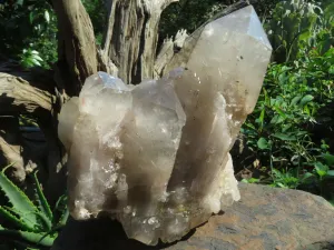 Natural Extra Large Quartz Cluster x 1 From Angola