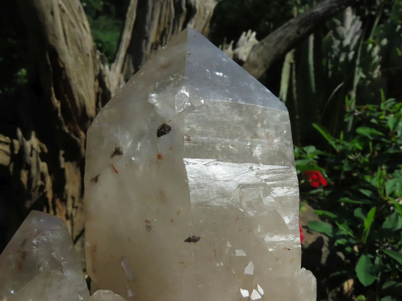 Natural Extra Large Quartz Cluster x 1 From Angola