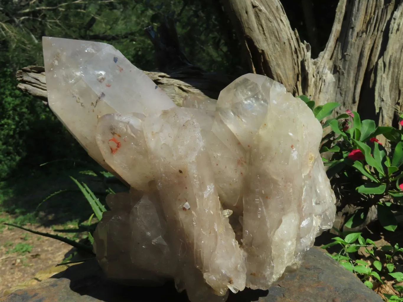 Natural Extra Large Quartz Cluster x 1 From Angola