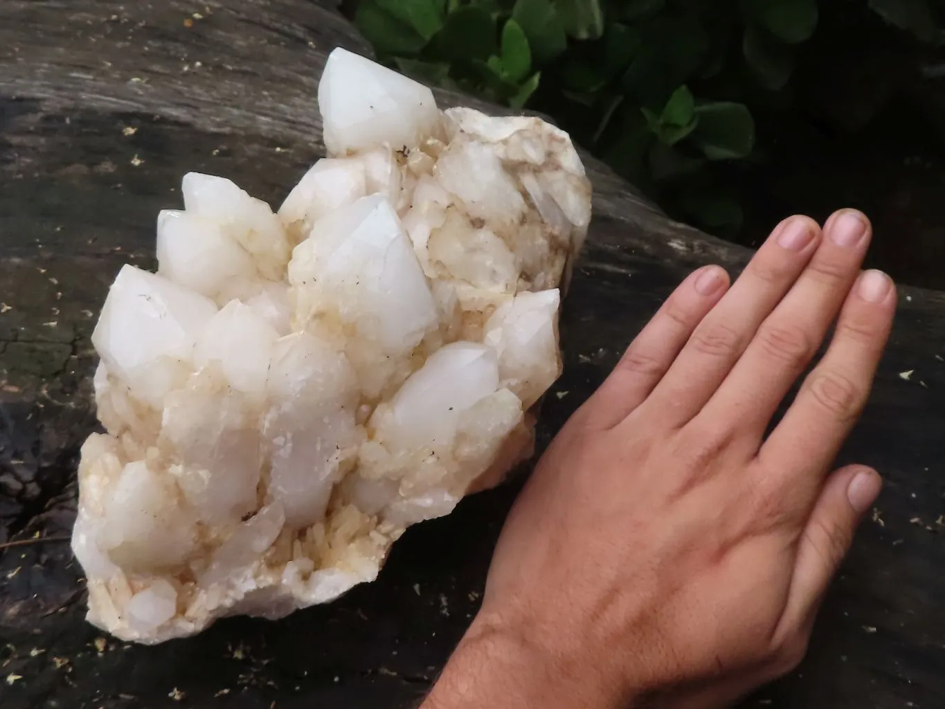 Natural Extra Large White Pineapple Quartz Cluster x 1 From Madagascar