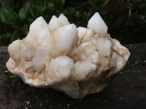 Natural Extra Large White Pineapple Quartz Cluster x 1 From Madagascar