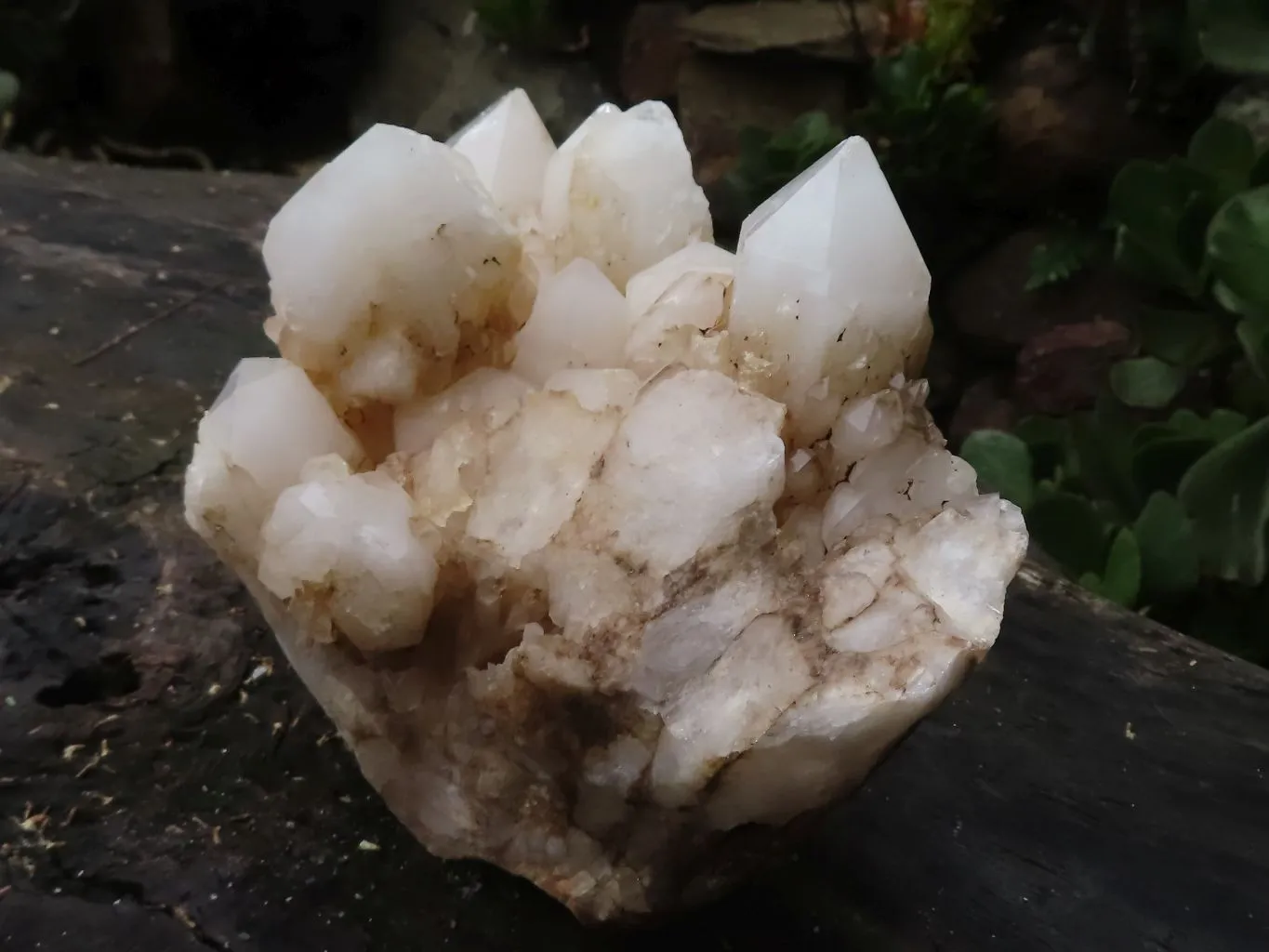 Natural Extra Large White Pineapple Quartz Cluster x 1 From Madagascar