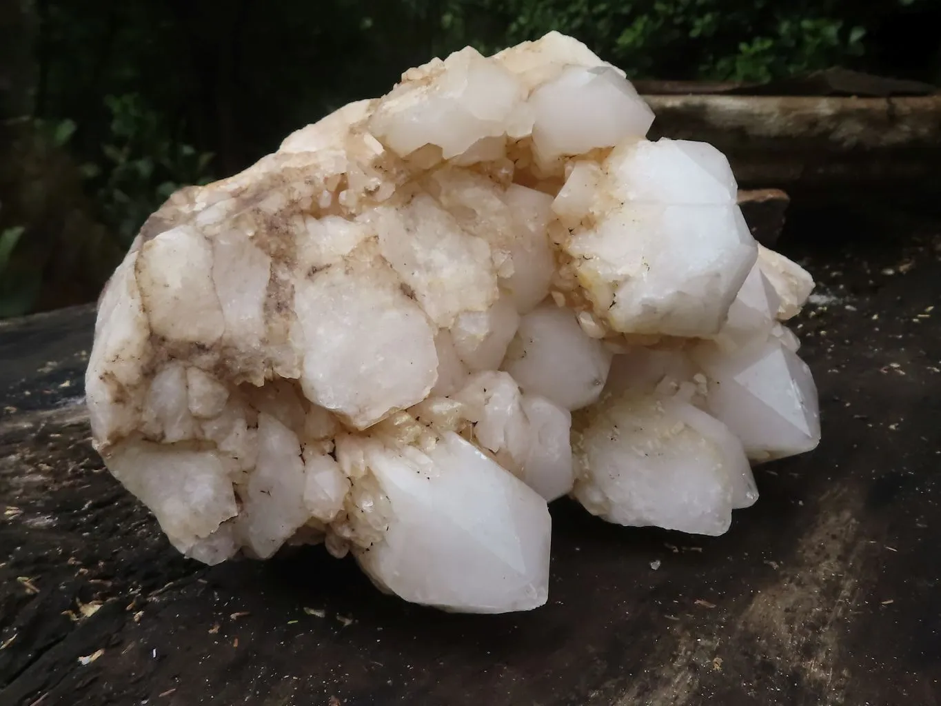 Natural Extra Large White Pineapple Quartz Cluster x 1 From Madagascar