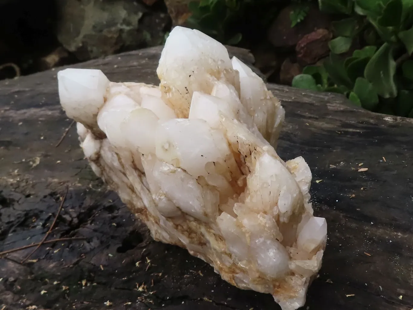 Natural Extra Large White Pineapple Quartz Cluster x 1 From Madagascar