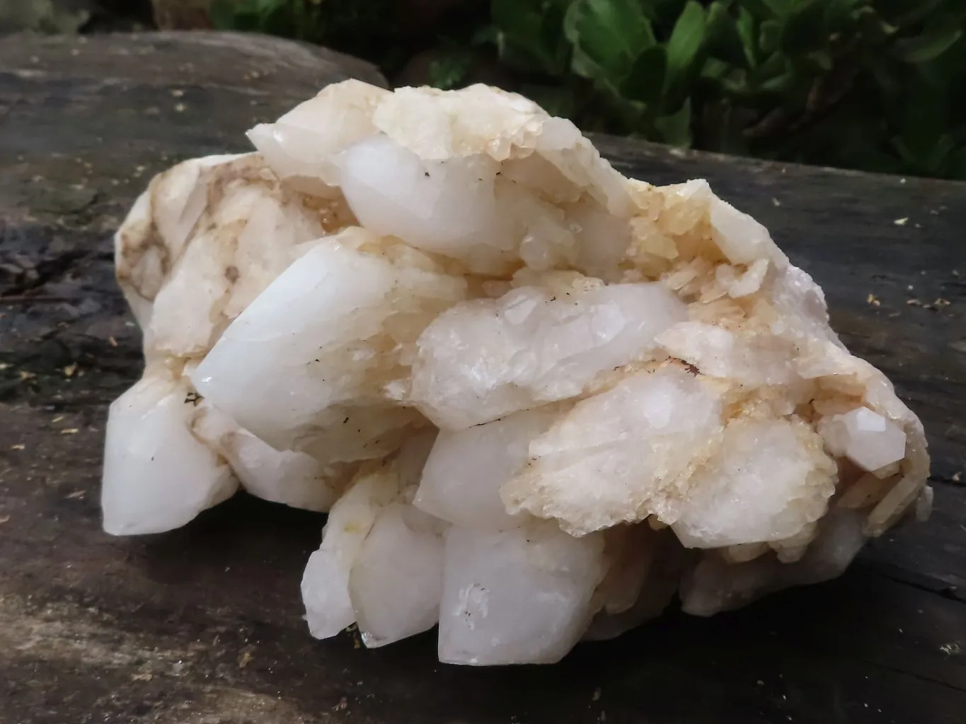 Natural Extra Large White Pineapple Quartz Cluster x 1 From Madagascar