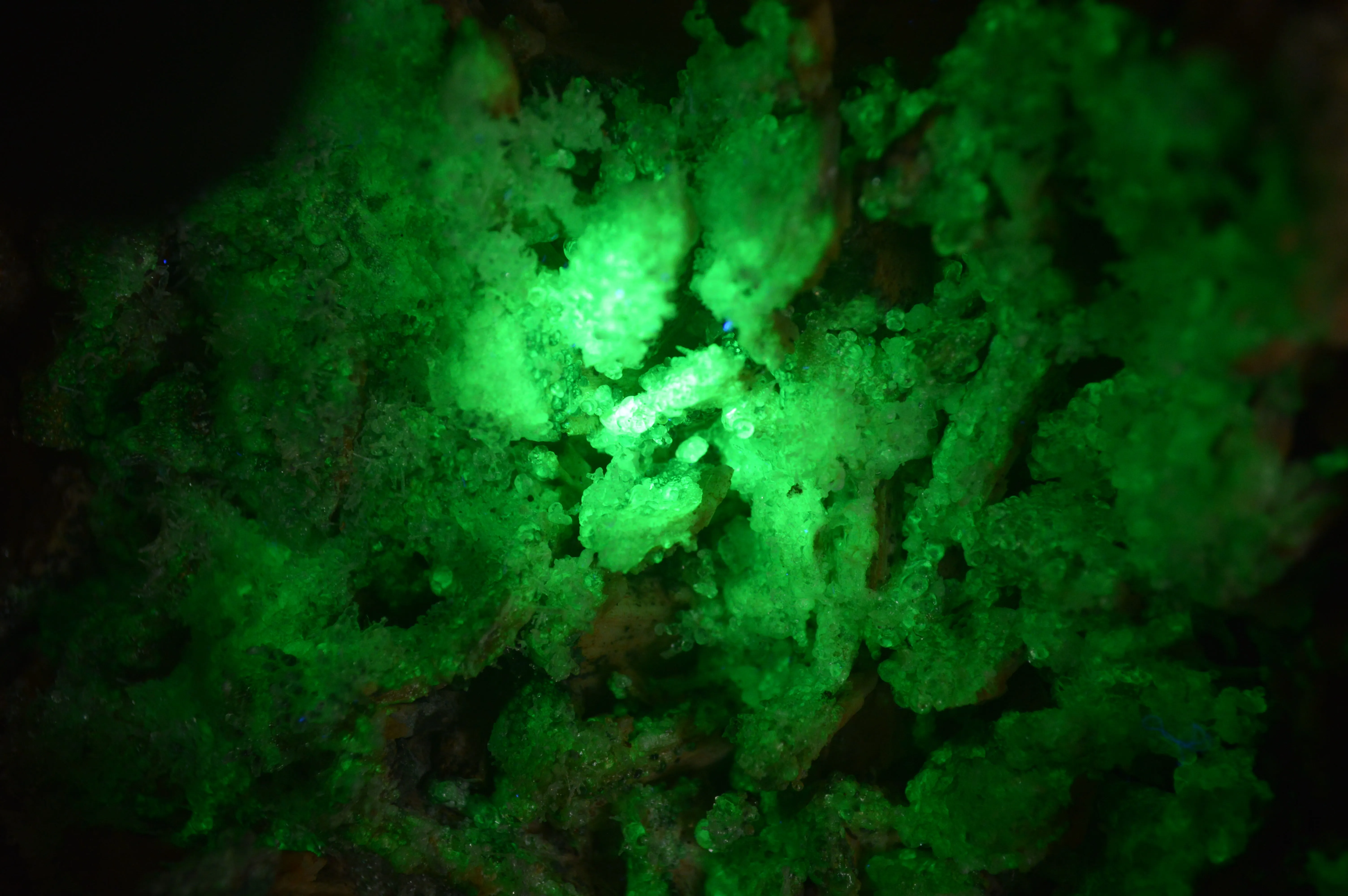 Natural Fluorescent Hyalite Opal Specimen x 1 From Erongo, Namibia